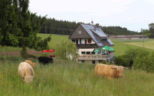 Café Pfaus Heidburg