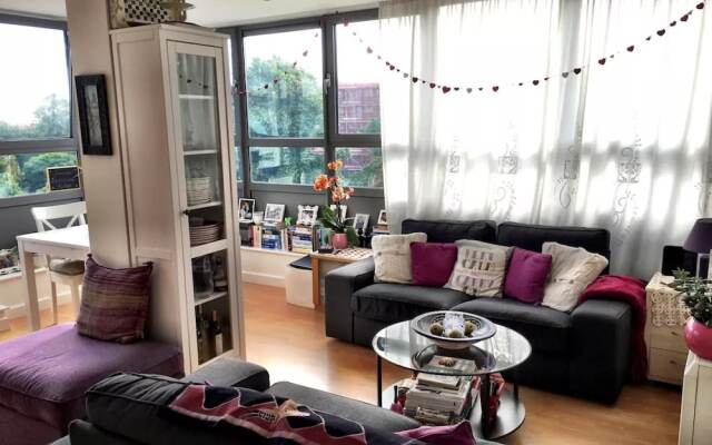 Large 1 Bedroom Flat Near Brixton