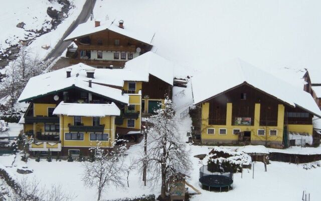 Schattaugut