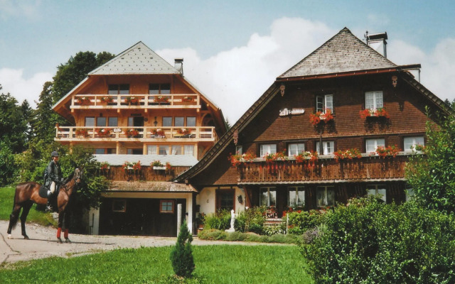 Apartment in Dachsberg-urberg