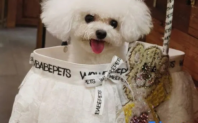 Mrs＇ X Coffee Hotel