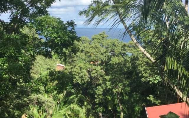 Jungle Reef Inn