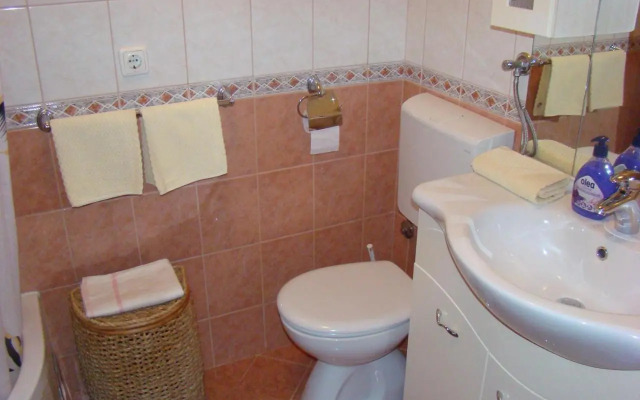Apartments Ledic