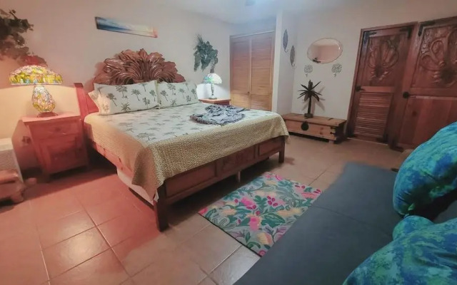 Casa Tortuga Beachfront Las Palmas Mirador Beach