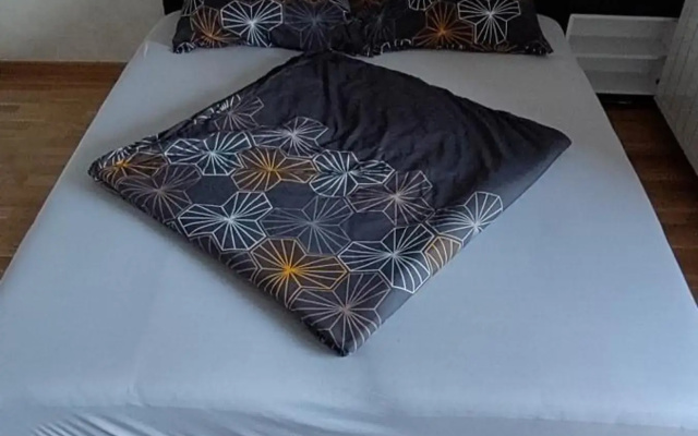 Apartman Gavric 1