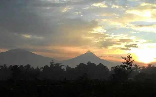 Griya Harja Homestay