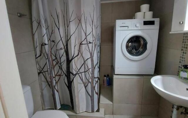 2020 renovated, sunny apartment with yard/garden