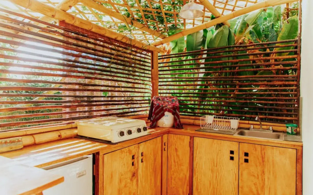 The Seed Habitat