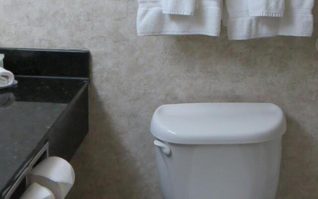 Holiday Inn Salem-Roanoke