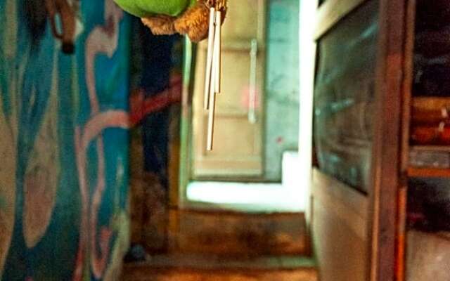 Centro Studi Nuovarmonia