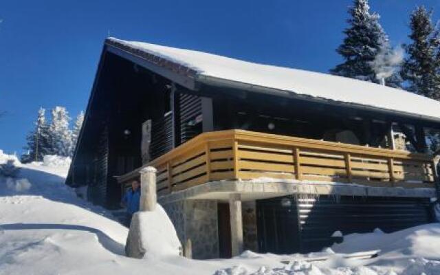 Apartment Borovnica Rogla