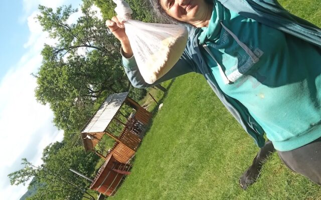 Room in Guest Room - Rural Holiday Transylvania