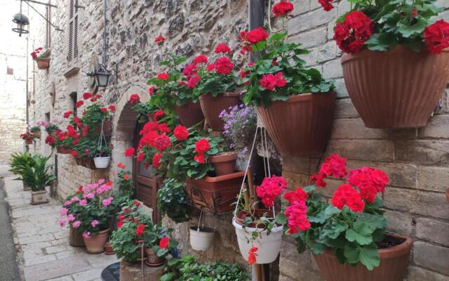 Appartamento Antica Assisi