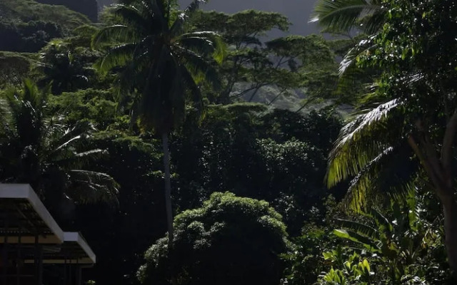 Fare Hani in Moorea-maiao