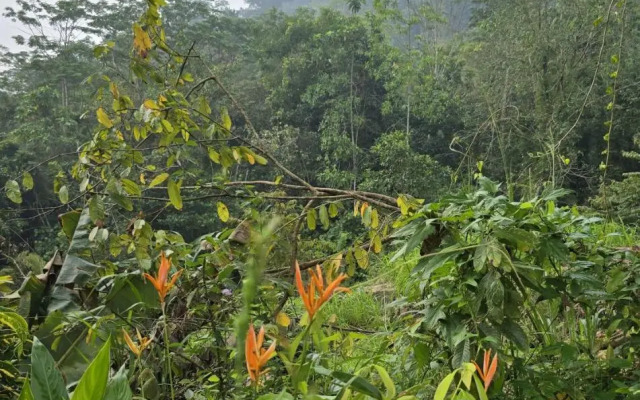 Nildiya Falls Hotel