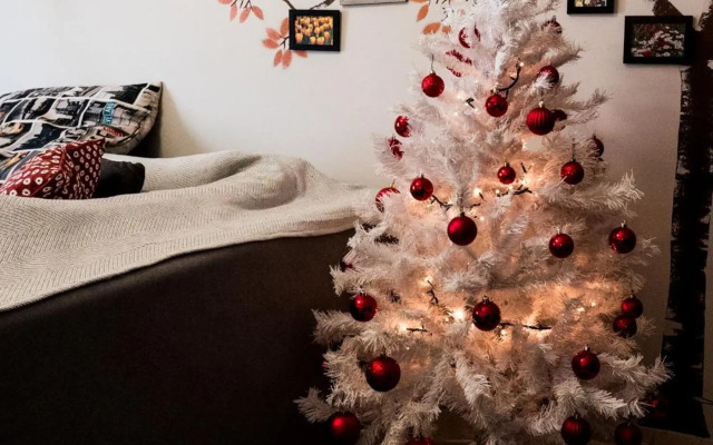 Alexandra's Apartment