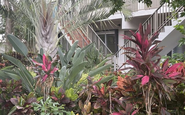 Petrina Studio Apartment