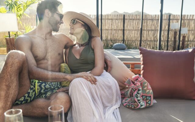 Mayan Monkey Los Cabos Social Hotel - Adults Only