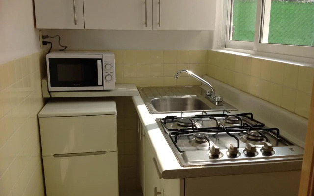Sunny Apartment Narvarte