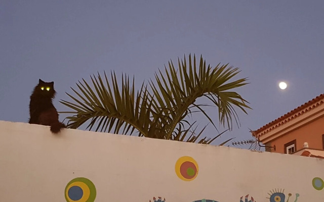 Chalet Anagato