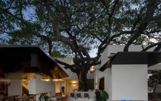 MOSA・Ink Lodge | Slow Living Art Space (Dali Ancient City)