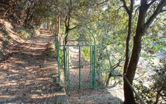 La quiete accesa