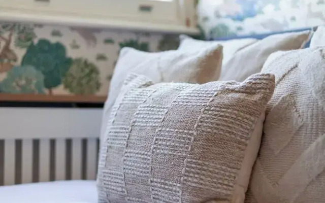 The South Hampstead Collection