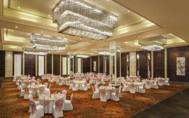 Seyfert Sarovar Premiere