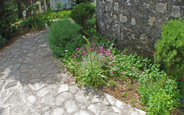Old Mill