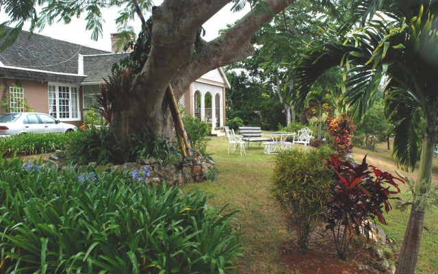 June Plum Bed and Breakfast