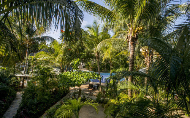 Paradise Oceanic Hotel