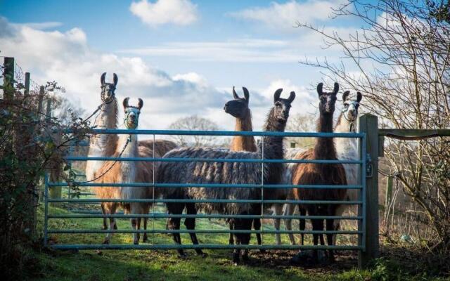 The Merry Harriers