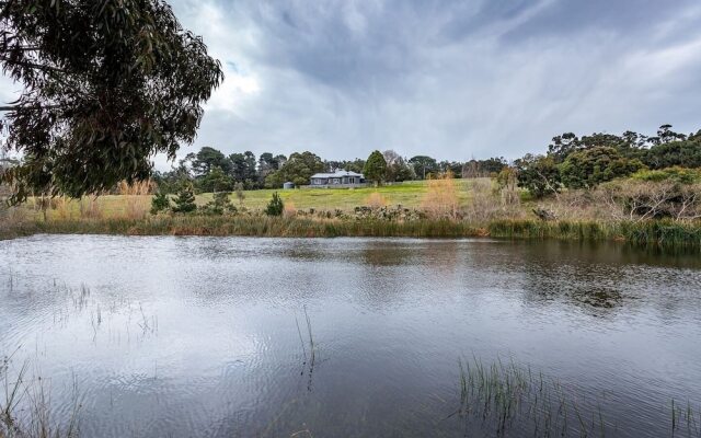 Green Olive at Red Hill