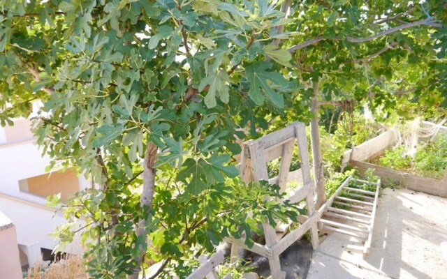 Cosy Apartment With sea View and one Bedroom