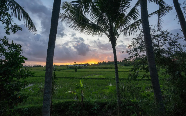 Green Field Corner Gefecon Ubud