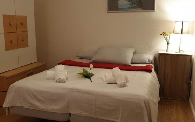 Apartment With Garden and City View