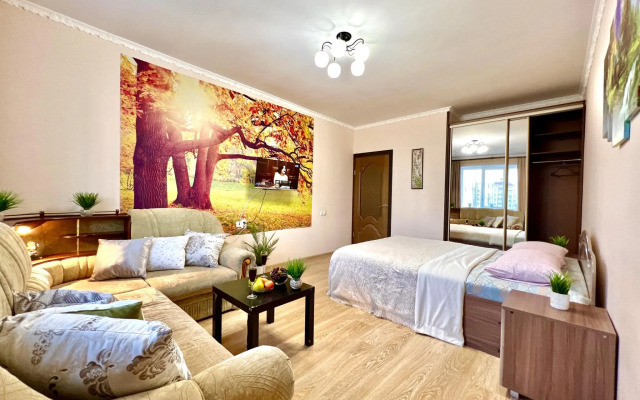 Самарские апартаменты на улице Санфировой