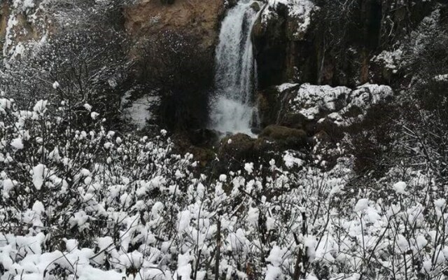 Hostal Apartamentos La Vereda