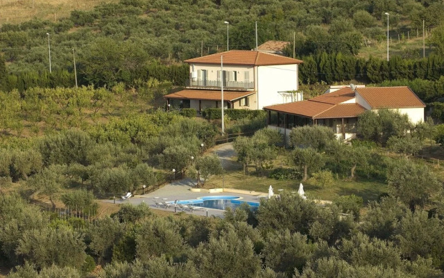 La Collina degli Ulivi - Casa Limoni 2