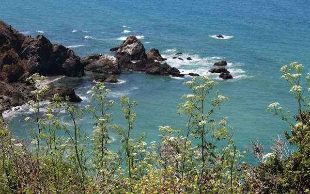 Emerald Cove II