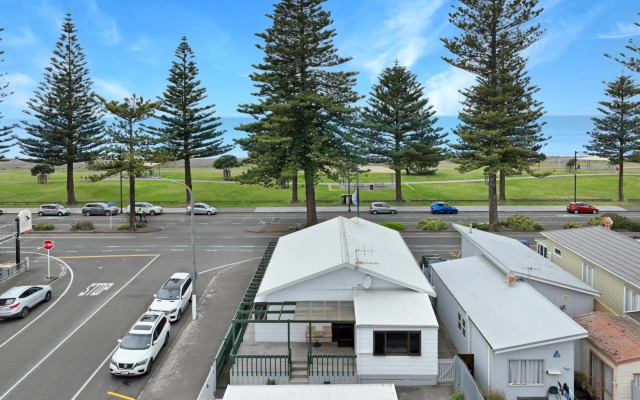 The Nautilus Napier
