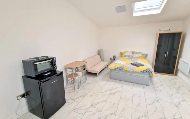 Large Triple Studio Flat - Croydon