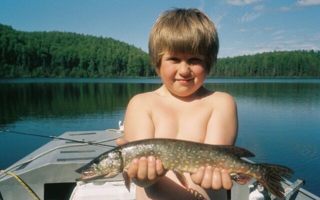 Mooseberry Cabin, Willow AK