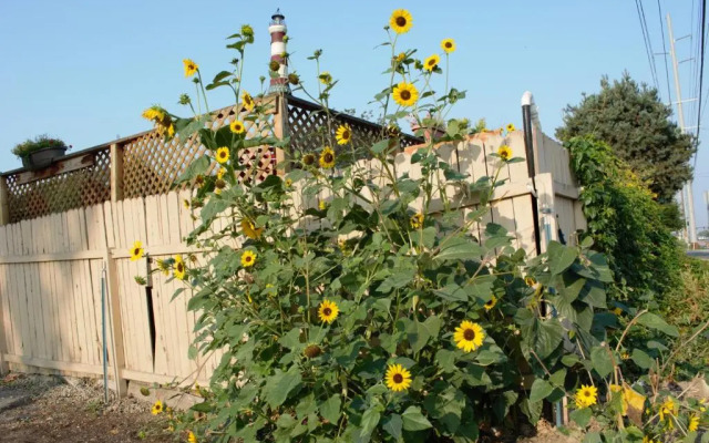 8635 Ustick Road Apartment