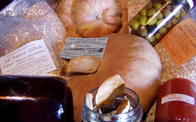Antico Silbule