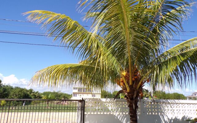 Bamboleo Inn Belize