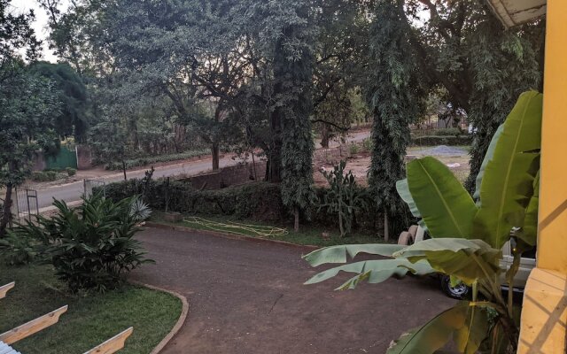 African Jungles campsites and Lodges