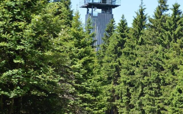 Hotel Auerhahn am Rennsteig