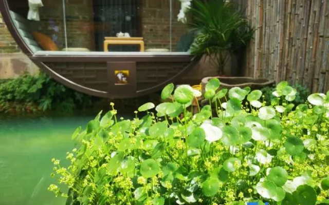 xunmengchangli  Homestay