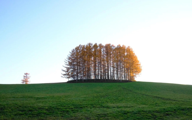 ととのうプレース